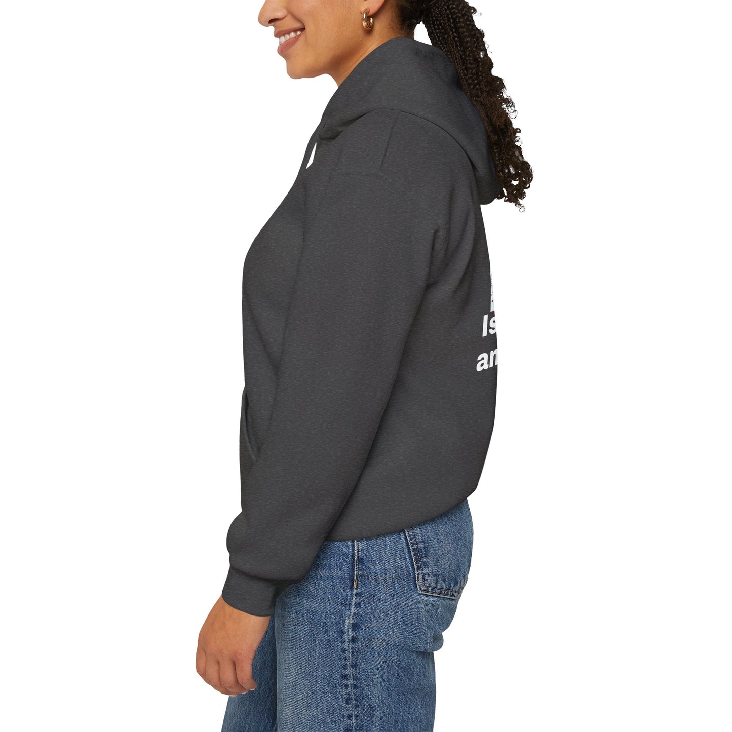 Healthcare System Reform Hoodie - Deny, Defend, Depose Design