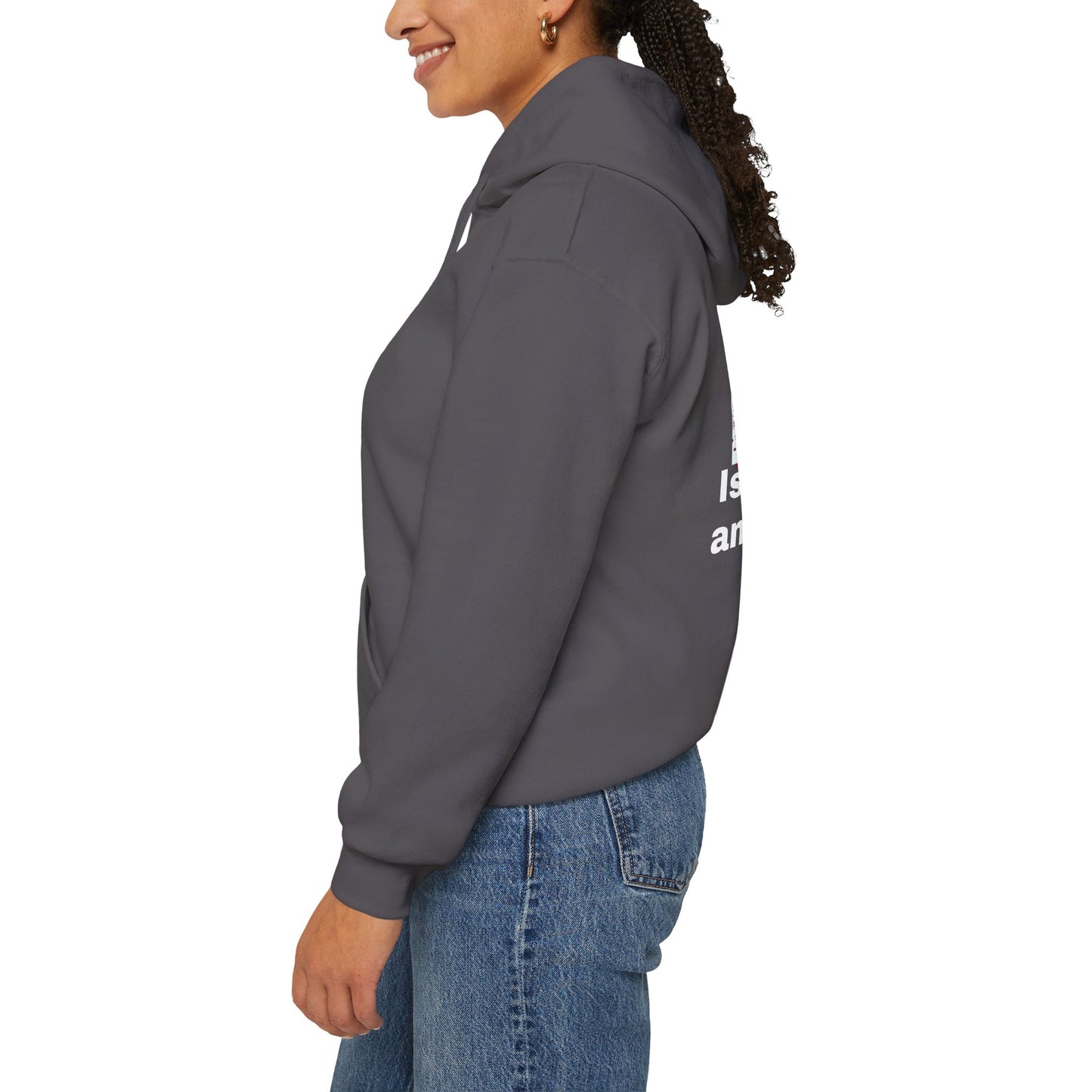 Healthcare System Reform Hoodie - Deny, Defend, Depose Design